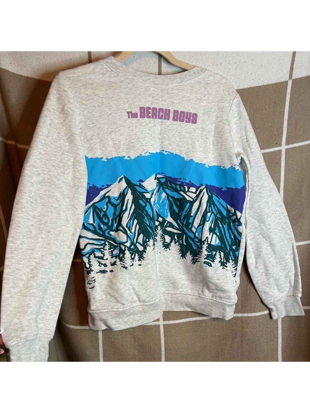 The Beach Boys Gray Sweatshirt